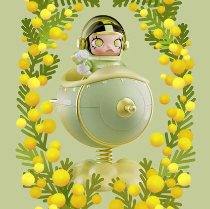 MEGA SPACE MOLLY 100% Blooming-Golden Wattle